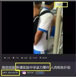 泰安胖哥爆料事件视频全集,揭秘背后真相与争议  第1张